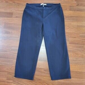 Lila Ryan Chino Capri Crop Pants 4 Navy Blue Brushed Sateen New